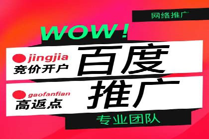 竞价排名在搜索引擎营销中的运用案例